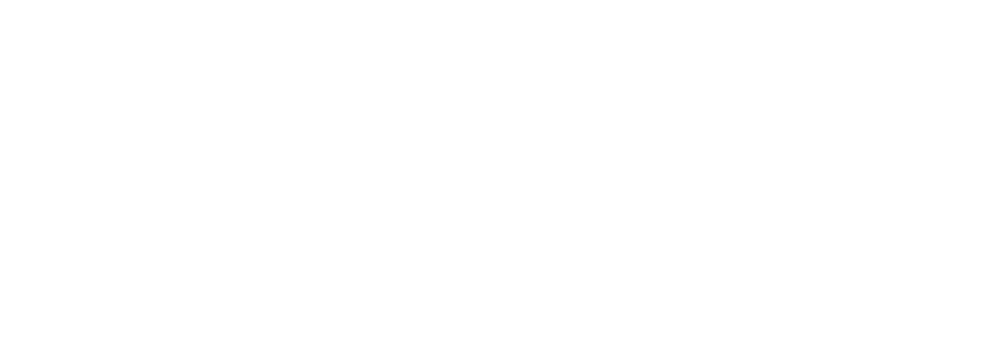 Rising Logo White